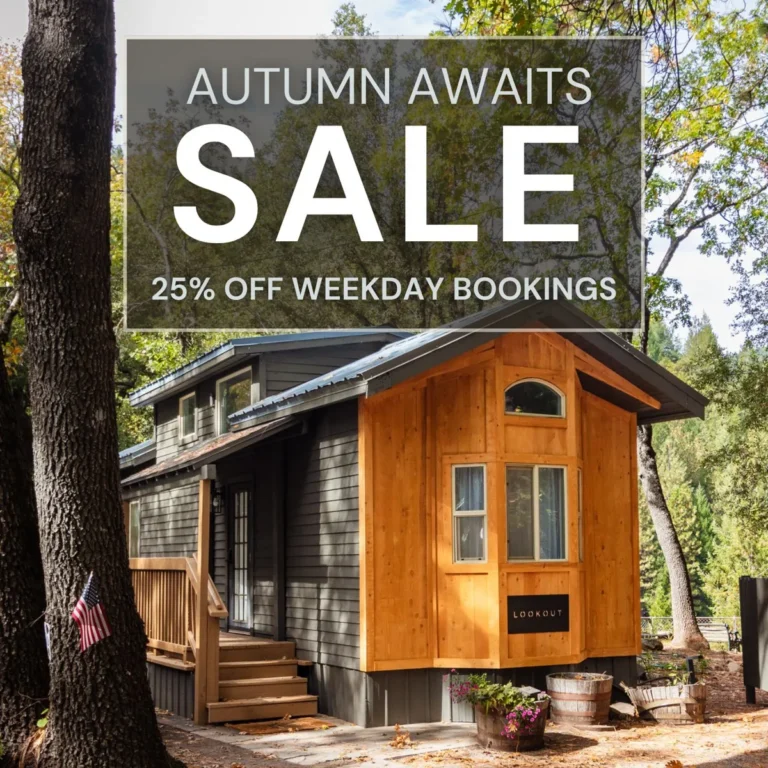 Autumn weekday sale ad