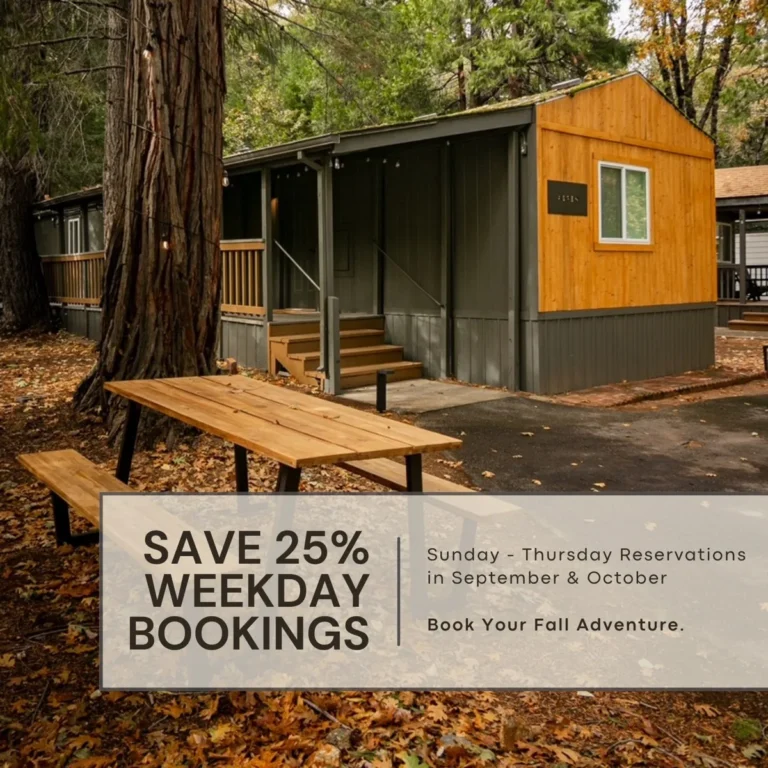 Weekday bookings promo ad