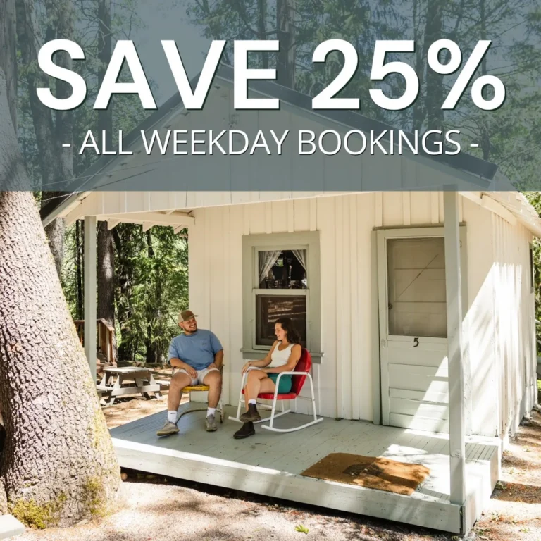25% off weekday bookings ad